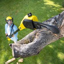 Best Emergency Tree Removal  in Elkhorn, CA