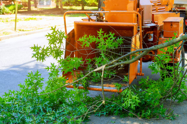 Best Artificial Turf Installation  in Elkhorn, CA
