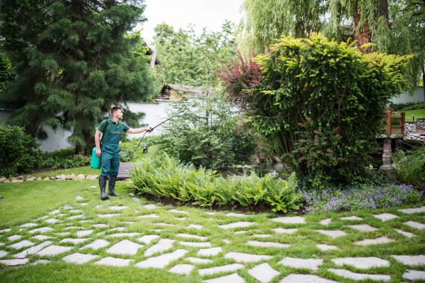 Best Fruit Tree Pruning  in Elkhorn, CA