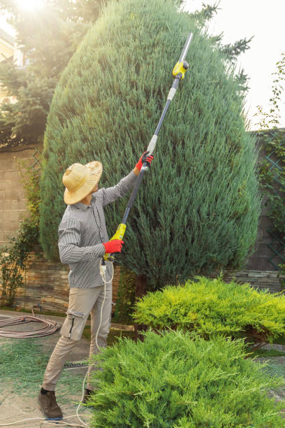 Best Landscape Design and Installation  in Elkhorn, CA